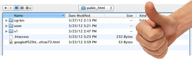tidy_public_html